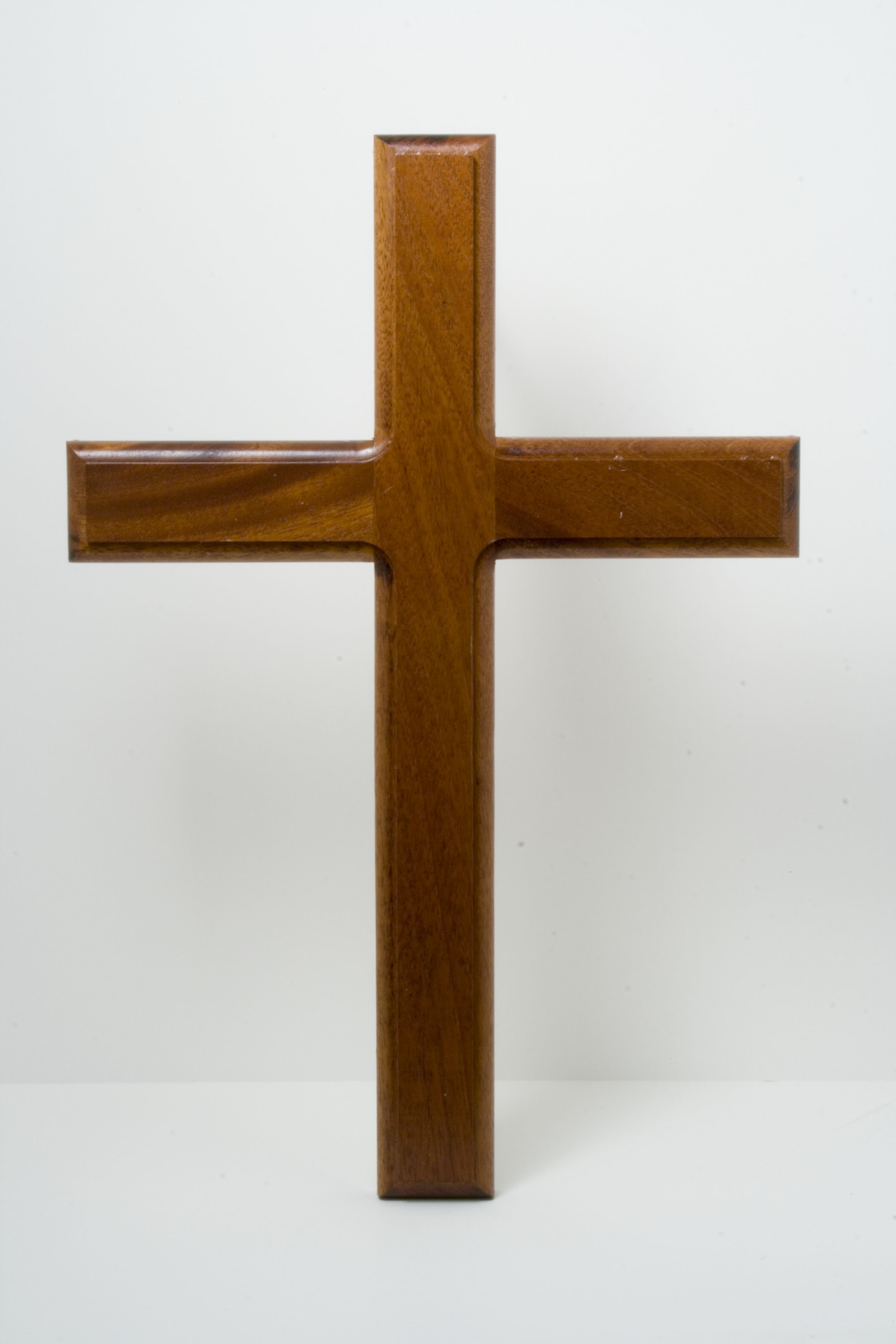 South_American_Mahogany_on_white